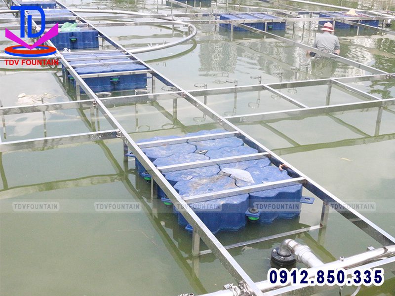 Hệ thống phao nổi trên hồ điều hòa