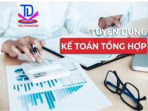 TDV tuyển dụng kế toán tổng hợp