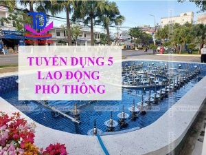 TDV tuyển dụng lao động phổ thông