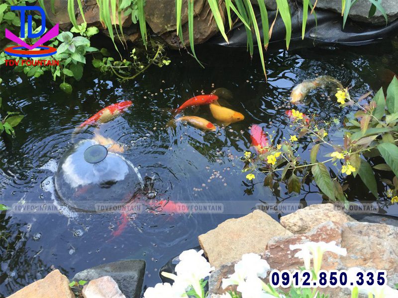 Vòi phun nước hình nấm lắp cho hồ cá Koi