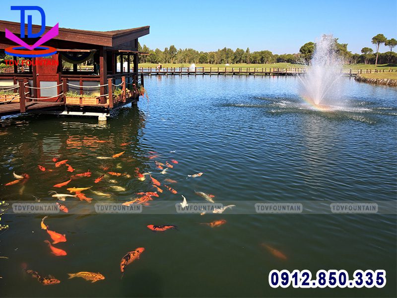 Đài phun nước phao nổi lắp cho hồ cá