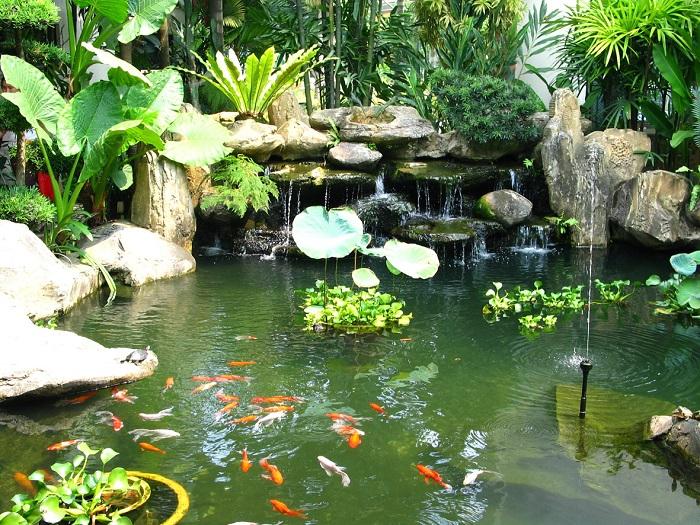 Tiêu chí lựa chọn đơn vị cung cấp phun nước hòn non bộ chất lượng