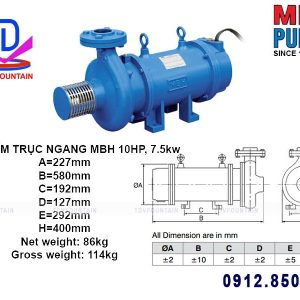 bom chim truc ngang MBH 10hp