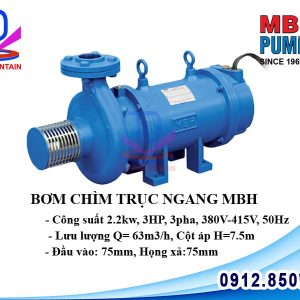 Máy bơm chìm trục ngang MBH 2.2kw 3HP