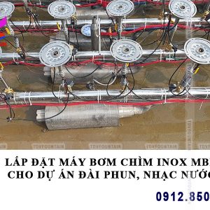 lap dat bom chim inox 304 mbh