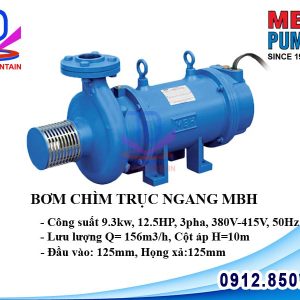 Máy bơm chìm trục ngang MBH 12.5HP 9.3kw