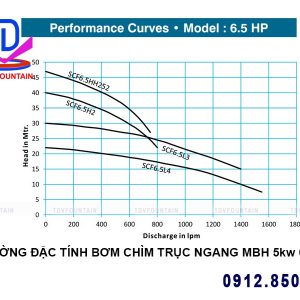 thong so ky thuat bom chim truc ngang 5kw